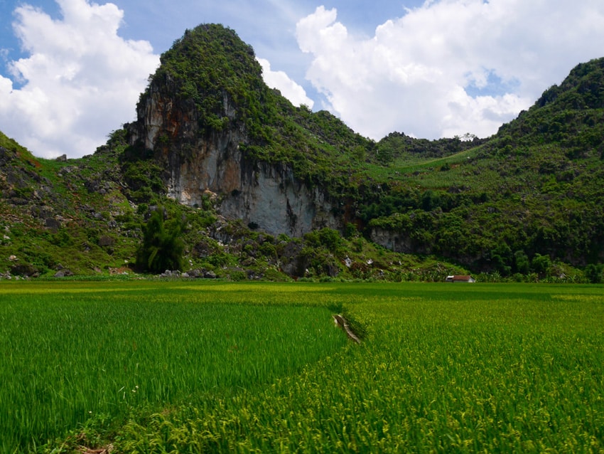 Formation karstique et rizière Ha Giang