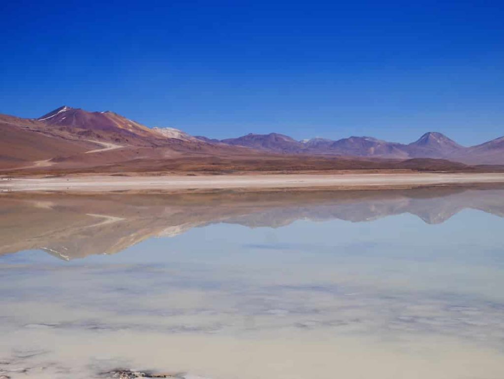 La laguna Hedionda dans le Sud Lipez en Bolivie