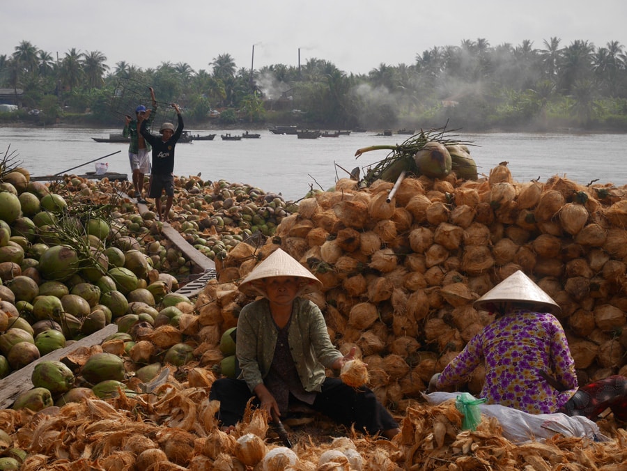 Fabrique de noix de coco sur le Delta du Mékong au Vietnam