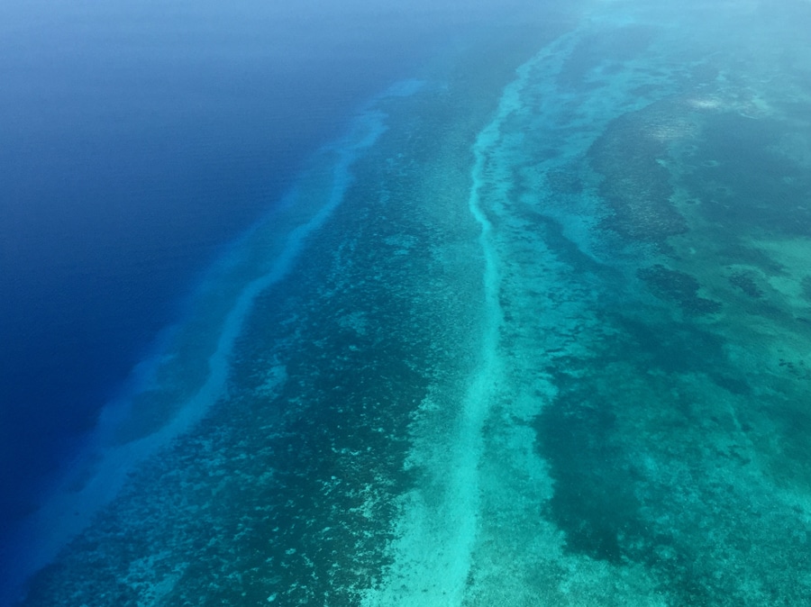 Barrière de corail Belize