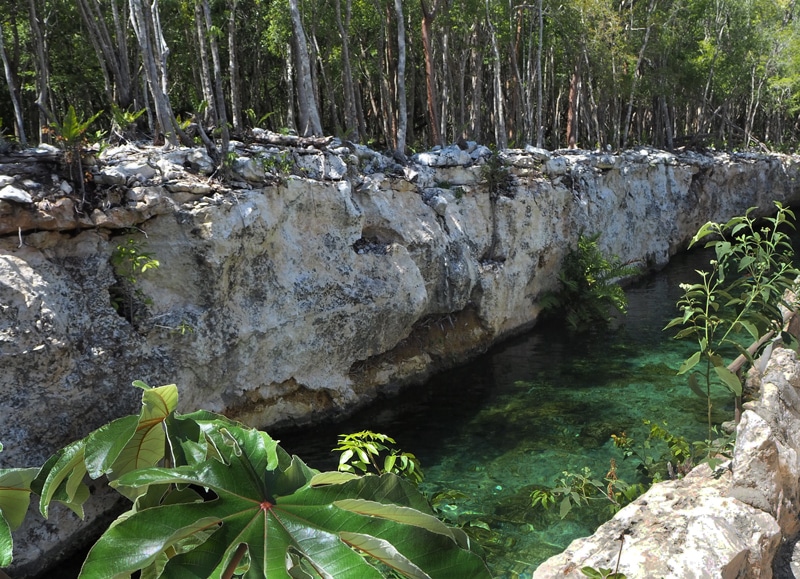 Cenote ouvert Casa Tortuga