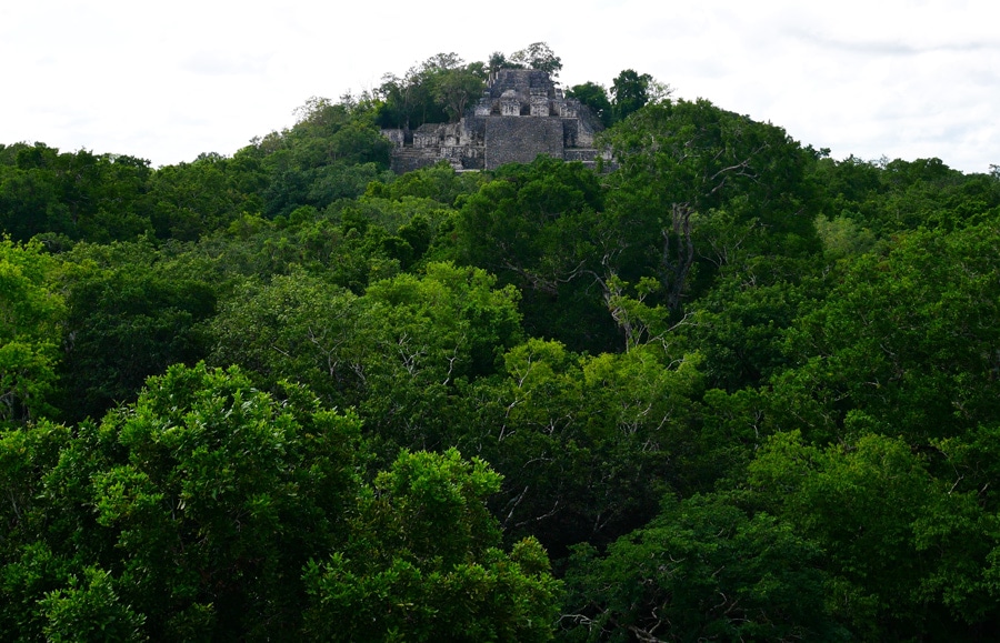 Pyramide de Calakmul Mexique