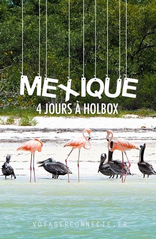 4 jours à Holbox au Mexique : que faire, que voir ?