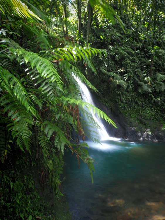 Cascade aux écrevisses Basse-Terre Guadeloupe