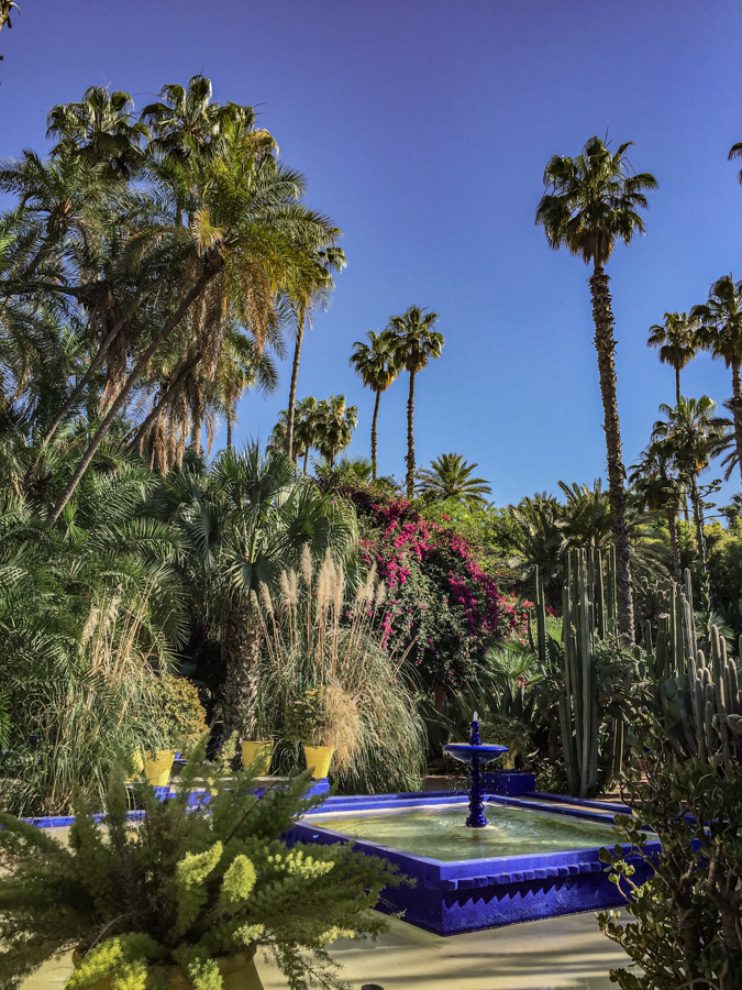 Le jardin Majorelle de Marrakech au Maroc