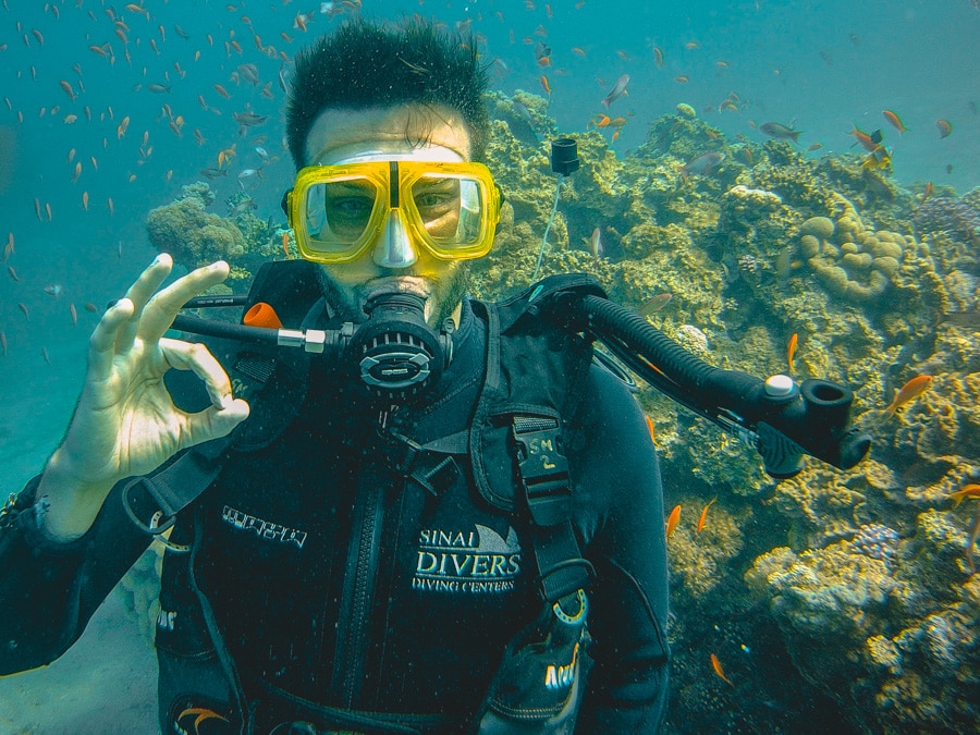 Plongée sous-marine à Aqaba en Jordanie