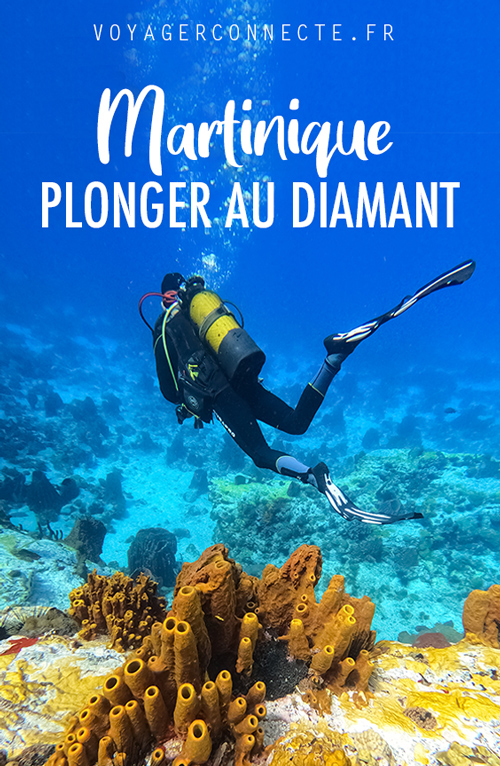 Faire de la plongée sous-marine au Diamant en Martinique